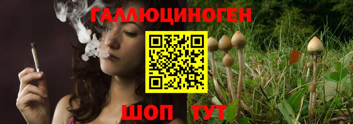 магазин продажи   Галлюциногенные грибы ЛСД  Вход с VPN  Псилоцибиновые грибы Psilocybine cubensis  Кушва 